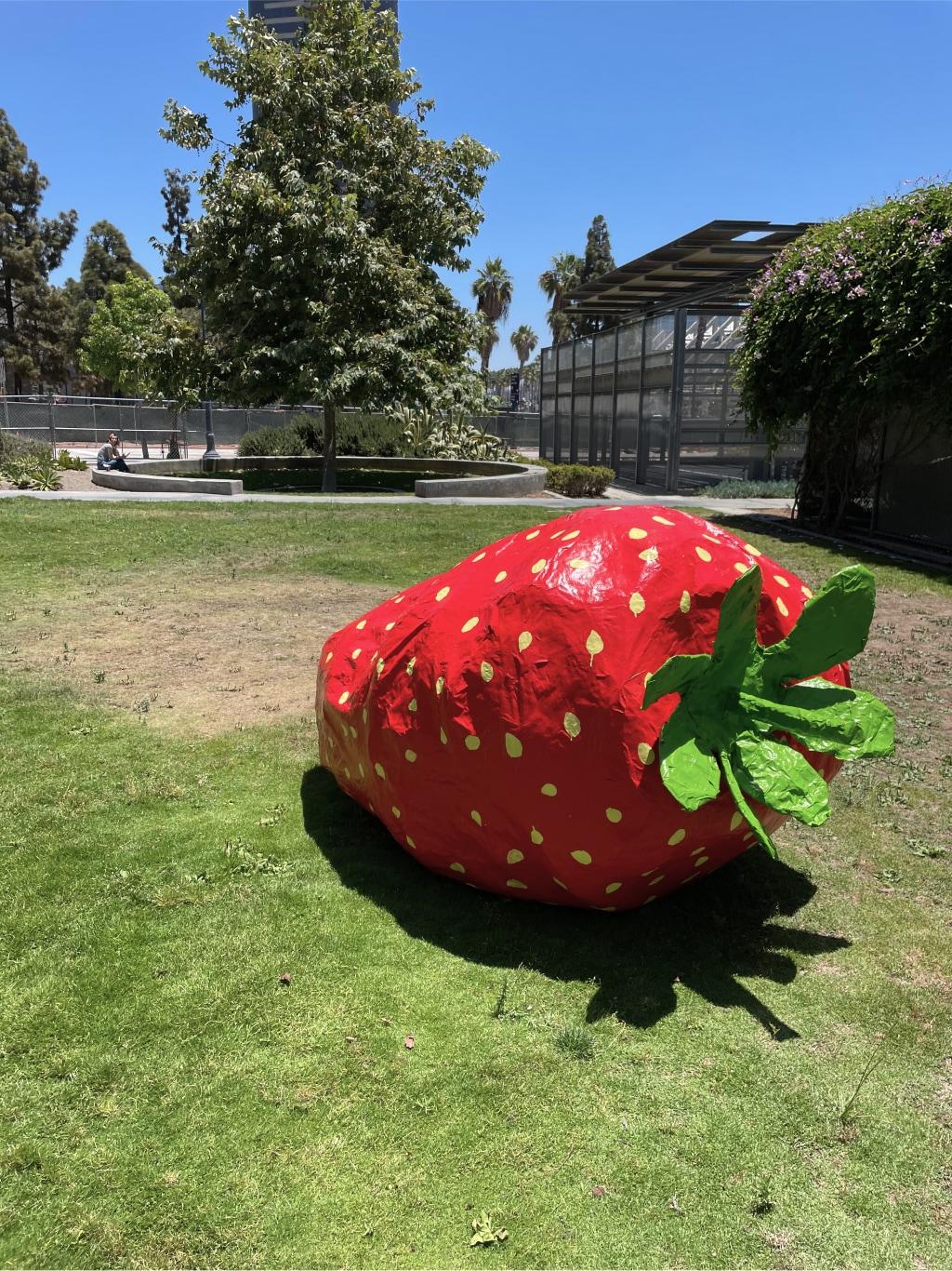 Interactive installation